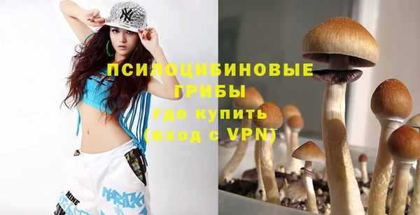 стафф Медвежьегорск