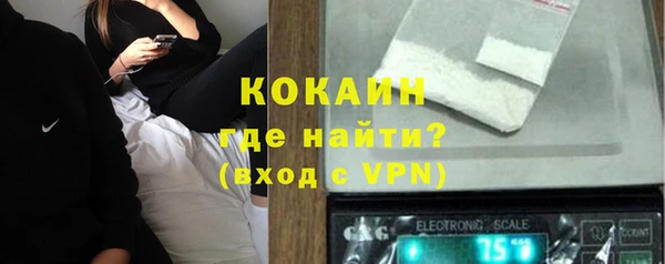 сатива Медногорск