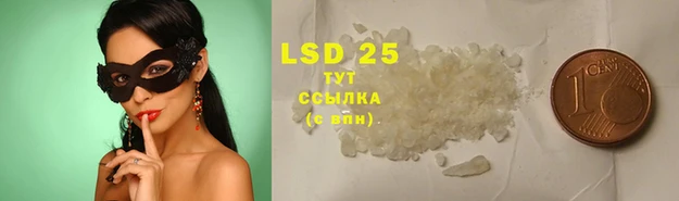 стафф Медвежьегорск