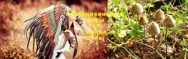 стафф Медвежьегорск