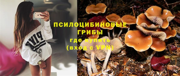 шишки Тавда