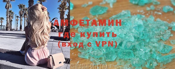 ПСИЛОЦИБИНОВЫЕ ГРИБЫ Тайга