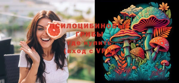 сатива Медногорск