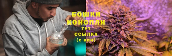 стафф Медвежьегорск